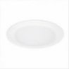 Assiette plate BIONIC FEEL GREEN diam.23cm 100% cellulose naturelle col. Blanc - Paquet de 1000