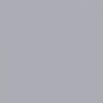 Serviette jetable double point 2 plis Ecolabel 20x20 cm Col. Gris - Colis de 2400PC
