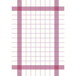Serviette jetable effet textile DUNISOFT TOWEL 38x54 cm Col. Blanc/Rouge - Colis de 250PC