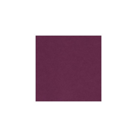 Serviette jetable en ouate 2 plis 38x38 cm Col. Prune - Colis de 2400PC