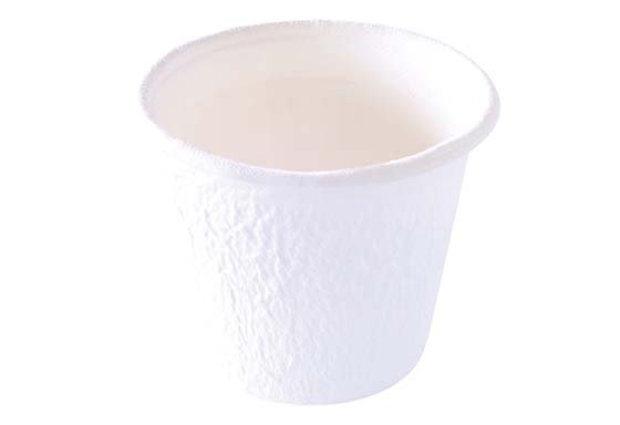 Pot à sauce 6cl en bagasse 6,3x6,3x3,2cl ECOECHO col. blanc - 1500PC
