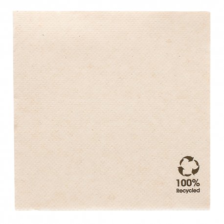 Serviette jetable double point Econatural 40x40 cm Col.Naturel - Colis de 1200PC